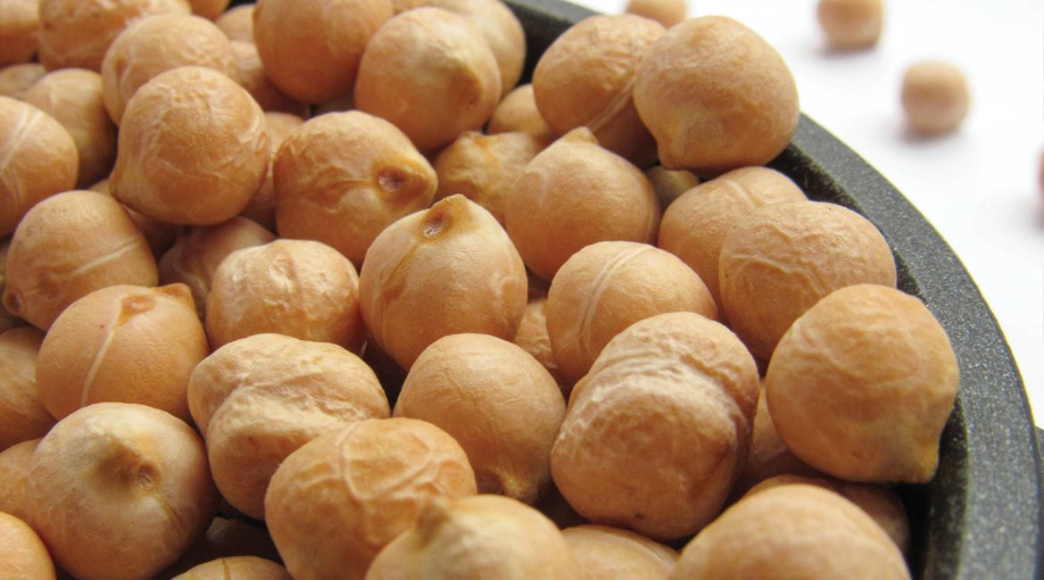 Garbanzo